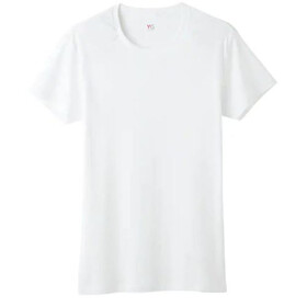 ＧＵＮＺＥ　ＹＧ半袖丸首